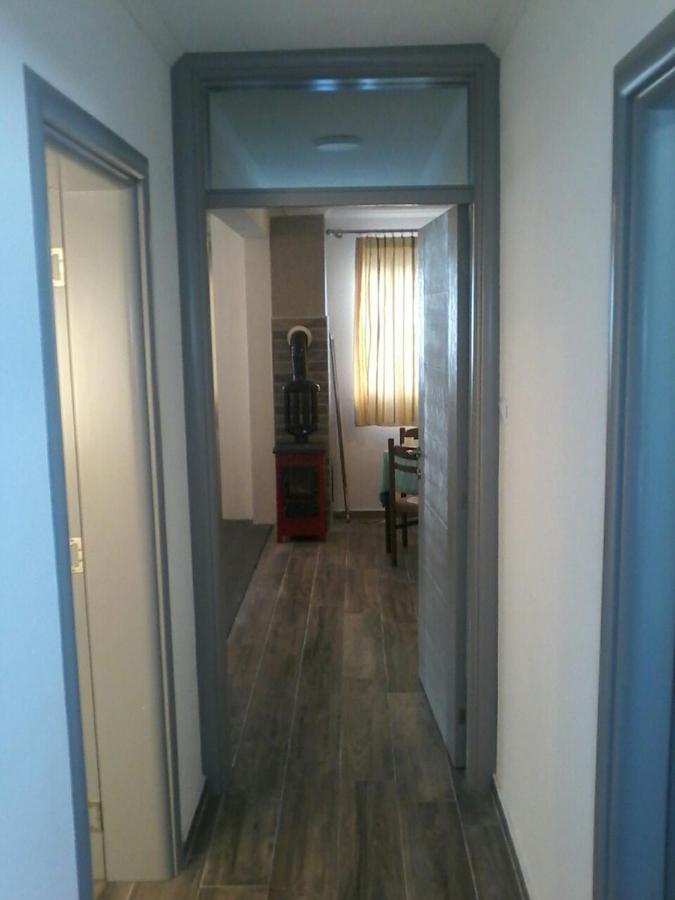 זבליאק Apartman Mijatovic מראה חיצוני תמונה